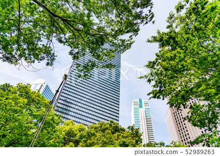 城市景觀 52989263