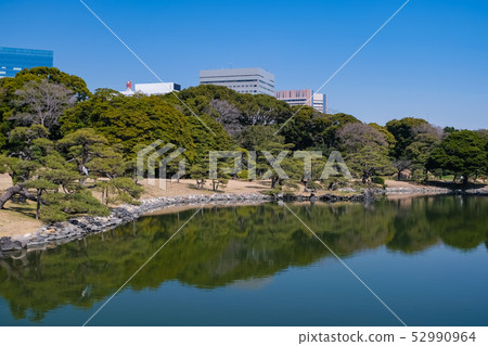 Hamarikyu Garden Garden Yokohori 52990964