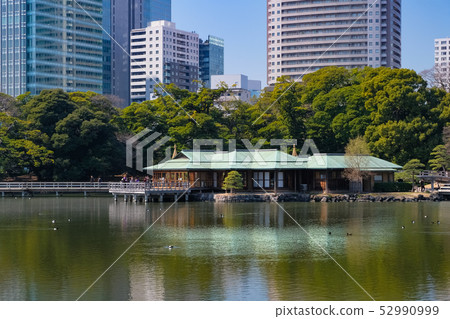 Hamarikyu Garden Garden Garden Nakajima Oya Hamarikyu Garden Garden Garden Nakajima Oya 52990999