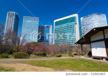 Hamarikyu Garden Garden Garden 52991007