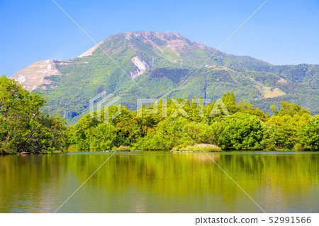 伊丘山和三島池18 52991566