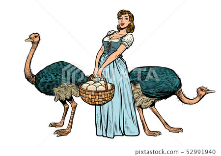 ostrich farm eggs. woman peasant farmer ostrich farm eggs. woman peasant farmer 52991940