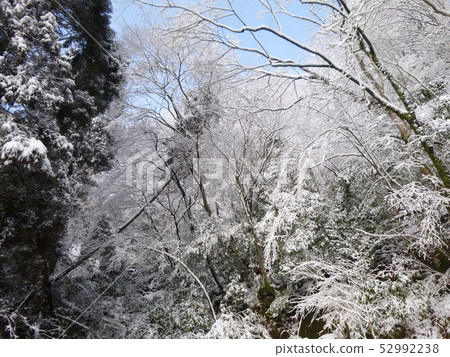 Snow scene ② 52992238