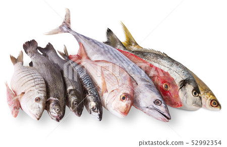 fresh fish collage in white background fresh fish collage in white background 52992354