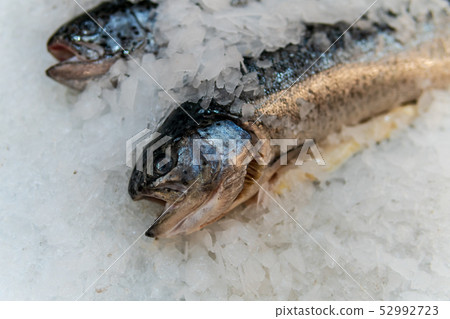 Fish, fish steaks and fish fillets lie on the ice in the supermarket Fish, fish steaks and fish fillets lie on the ice in the supermarket 52992723