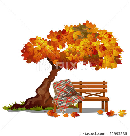 Cozy bench under the autumn tree. Outdoor furniture isolated on white background. Sketch on the Cozy bench under the autumn tree. Outdoor furniture isolated on white background. Sketch on the 52993286