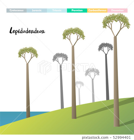 Lepidodendron Lepidodendron 52994401
