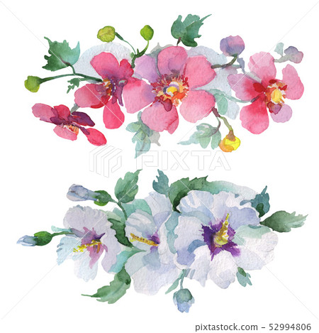 Bouquet floral botanical flowers. Watercolor background illustration set. Isolated bouquets Bouquet floral botanical flowers. Watercolor background illustration set. Isolated bouquets 52994806