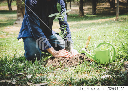 World environment day reforesting, Hands of young World environment day reforesting, Hands of young 52995431