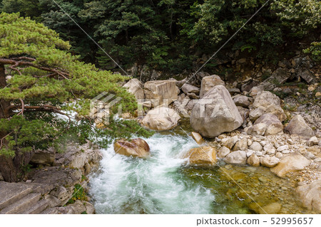 Mount Kumgang. North Korea. 52995657