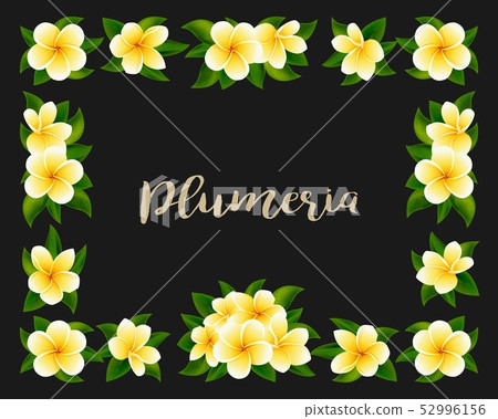 Tropical hawaiian frame with jungle exotic flowers and yellow blooms 52996156