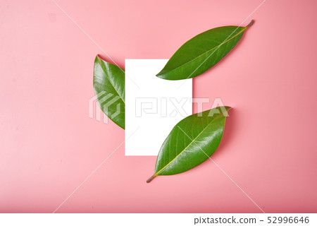 Paper Card Mockup on a Green Leaves and pink background, floral card of organic shop 52996646