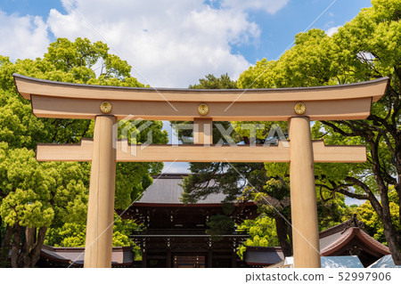 Oji Torii in the main shrine in the south shrine of Meiji Jingu 52997906