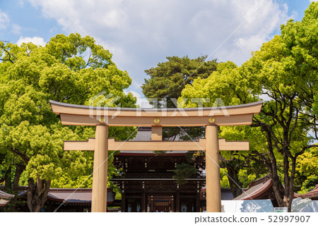 Oji Torii in the main shrine in the south shrine of Meiji Jingu Oji Torii in the main shrine in the south shrine of Meiji Jingu 52997907