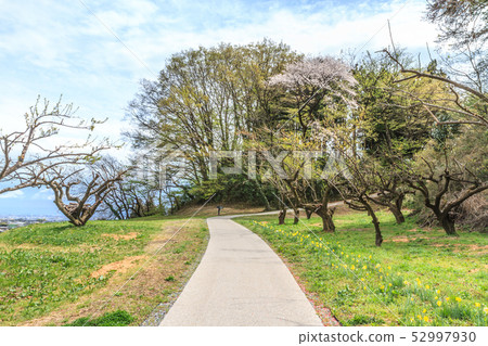 Minowa城堡風景在春天 Minowa城堡風景在春天 52997930