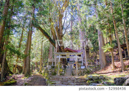Kamisaka Shrine and Higashiyama Road 2 52998436