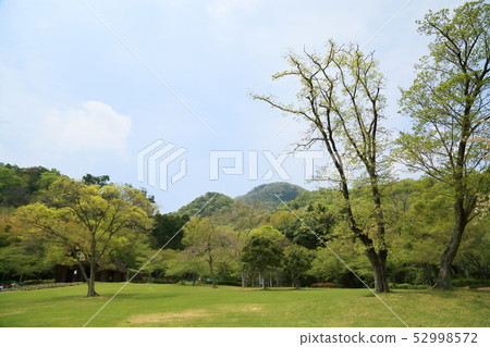 春天公園 52998572