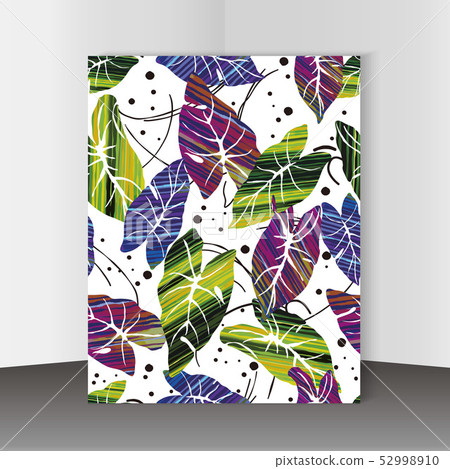 熱帶 明信片 .明信片 52998910