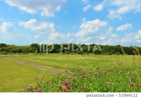 風景綠色天空春天shiikawa河床路 52999112