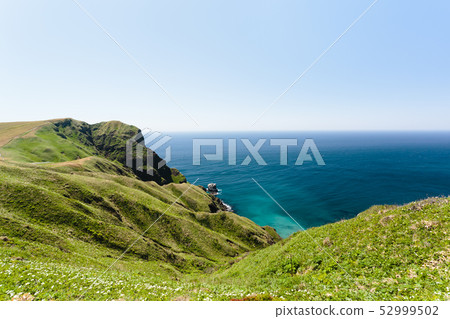 北海道禮文島5月，日本 52999502