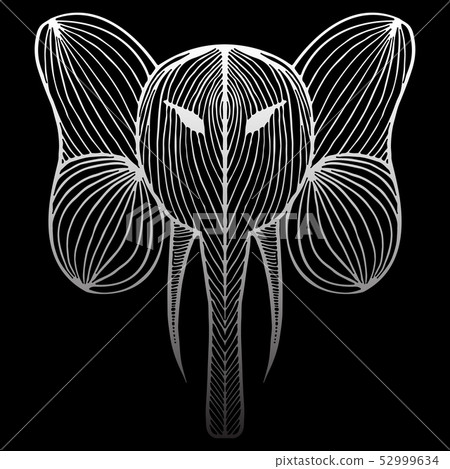 Abstract hand drawn portrait of elephant isolated Abstract hand drawn portrait of elephant isolated 52999634