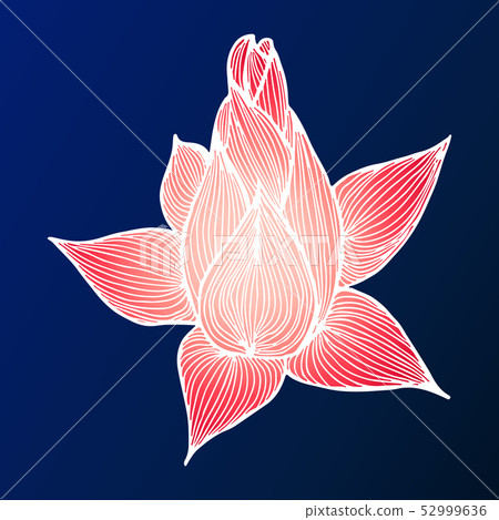 Abstract hand drawn lotus flower. Vector 52999636