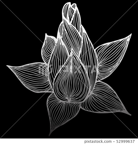 Abstract hand drawn lotus flower isolated on black - Stock Illustration ...