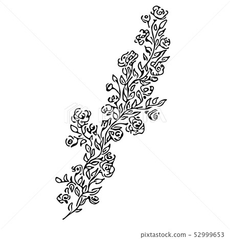 Hand Drawn Vector Illustrations Of Abstract Peony Hand Drawn Vector Illustrations Of Abstract Peony 52999653