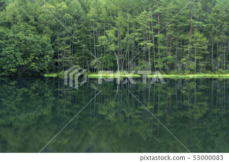 神社池塘 53000083