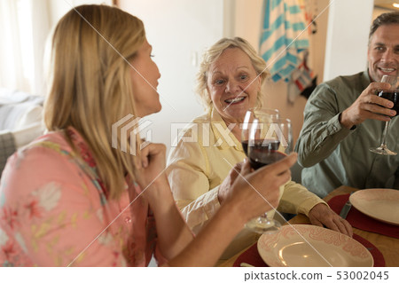 Family toasting glasses of wine on dining table 53002045