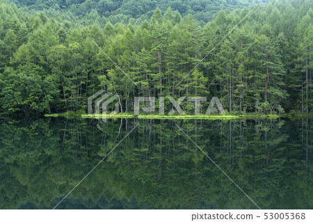 神社池塘 53005368