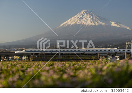Japan Bullet Train and Mt. Fuji, Shizuoka, Japan 53005442