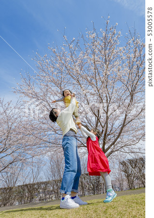 Mother and daughter playing in the park where cherry blossoms are blooming Mother and daughter playing in the park where cherry blossoms are blooming 53005578
