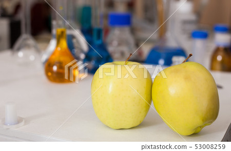 Apples on table in research lab Apples on table in research lab 53008259