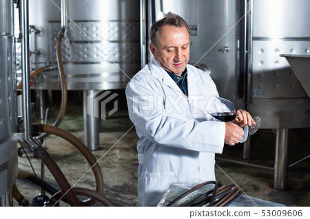 Wine maker controls quality of wine Wine maker controls quality of wine 53009606