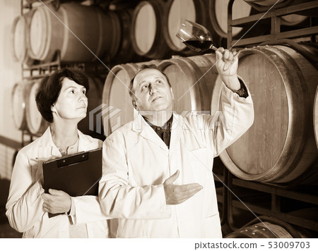 Worker of winery holds glass of red wine in hand and shows him to expert Worker of winery holds glass of red wine in hand and shows him to expert 53009703