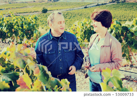 Family of elderly wine makers admires grapes 53009733