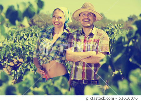 Gardeners standing among grapes trees 53010070