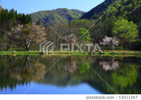 Fresh green cocoon autumn lake 53011367