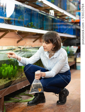 Female aquarist looking for fish 53013764