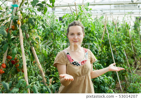Female farmer in glasshouse Female farmer in glasshouse 53014207