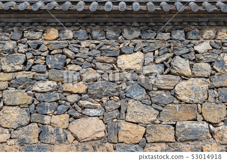 中國雲南麗江拉市海 Scenic Spots in China 高原濕地省級自然保護區 拉什海 候鳥 53014918