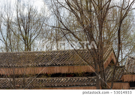 中國雲南麗江拉市海 Scenic Spots in China 高原濕地省級自然保護區 拉什海 候鳥 53014933