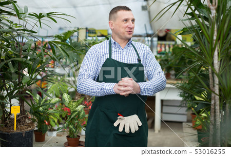 Male gardener is standing near plants Male gardener is standing near plants 53016255