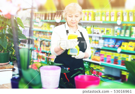 Adult female gardener is standing with substances for care of flowers in greenhouse. Adult female gardener is standing with substances for care of flowers in greenhouse. 53016961