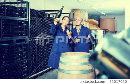 man and woman winemakers in wine cellar . man and woman winemakers in wine cellar . 53017030