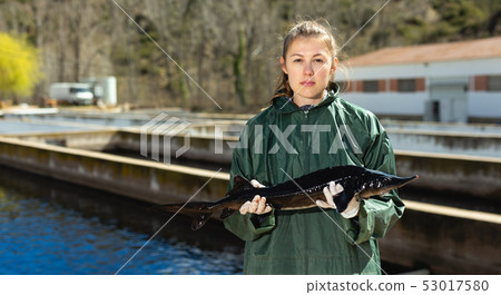Woman fish farmer holding sturgeon Woman fish farmer holding sturgeon 53017580