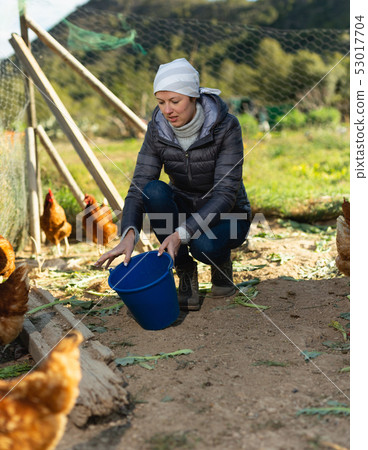 Woman farmer feeding bird in the backyard of a village house 53017704