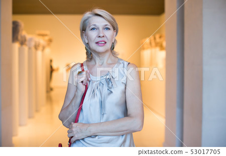 mature woman standing at the art museum 53017705