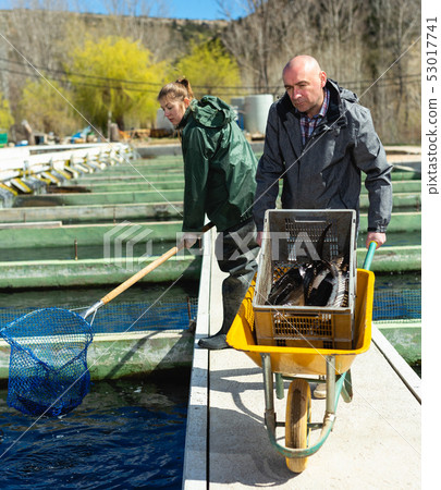 Man and woman catching sturgeon 53017741